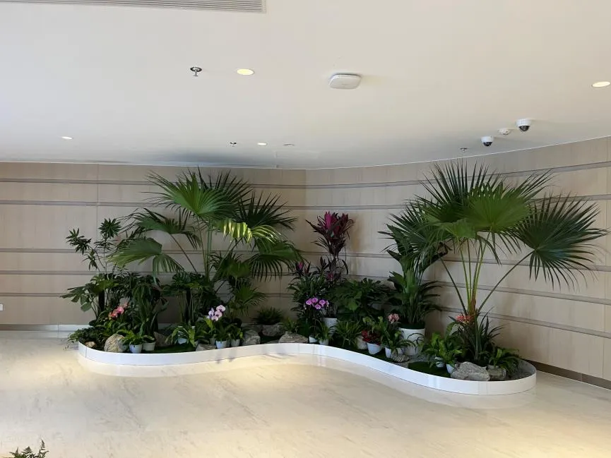 深挖宁波海曙花卉租赁哪家好，不容错过！亡